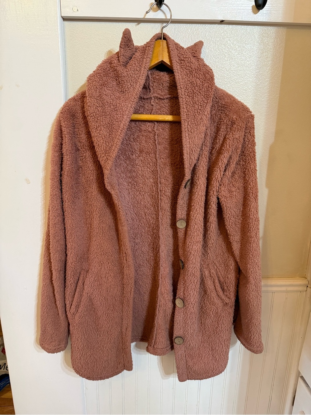 Women's Hooded Teddy Coat in Rose Brown